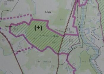 Pliusu pažymėta teritorija - Palatavio piliakalnio zona, violetiniu punktyru - buferinė zona.