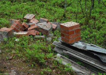 Statybinį laužą anykštėnai verčia svetimame miške. Jono JUNEVIČIAUS nuotr.