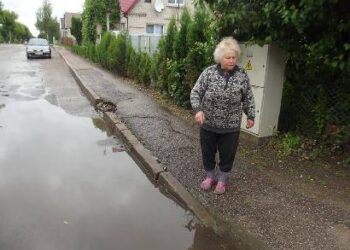 Ant gatvės telkšanti bala užlieja Genovaitės Užtupienės daržą.