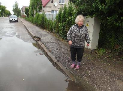 Ant gatvės telkšanti bala užlieja Genovaitės Užtupienės daržą.