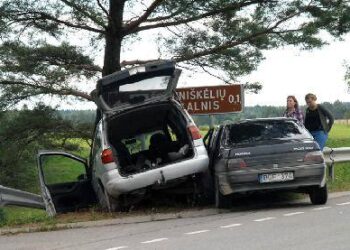 Po susidūrimo automobilius ir jų keleivius nuo liūdnesnių pasekmių gelbėjo kelio atitvaras. Autoriaus nuotr.