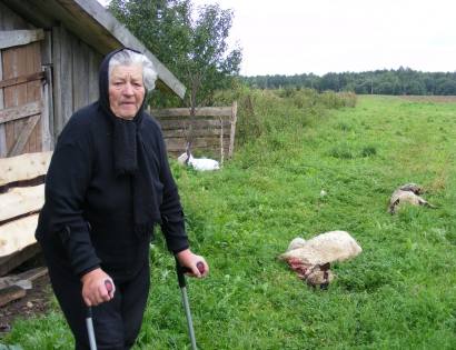 Šovenių kaimo gyventojai Genovaitei Palavenienei Lietuvos medžiotojai padovanos avis.