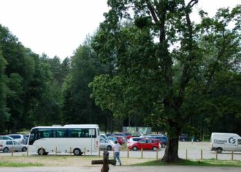 Aikštelės įrengimas Niūronyse svarbus ir dėl muziejaus įvaizdžio - lankytojai mato, kad jų patogumu rūpinamasi, investuojama. Tautvydo KONTRIMAVIČIAUS nuotr.