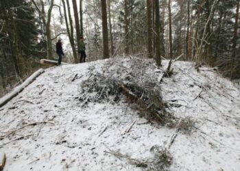 Paberžės piliakalnį (Kavarsko sen.) apžiūrėjo archeologai profesionalai doc.dr. Gintautas Zabiela bei Zenonas Baubonis. Dariaus STONČIAUS nuotr.