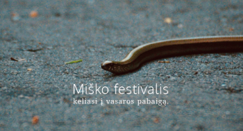 Laukiančiųjųu Miško festivalio, feisbuke kuris laikas pasitinka tokia žinia.