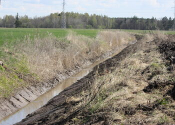 Didelė dalis melioracijos inžinerinių statinių Lietuvoje yra kritinės būklės, tai daro didelę įtaką ūkininkų derliui.
Sigito Strazdausko nuotr.