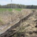 Didelė dalis melioracijos inžinerinių statinių Lietuvoje yra kritinės būklės, tai daro didelę įtaką ūkininkų derliui.
Sigito Strazdausko nuotr.