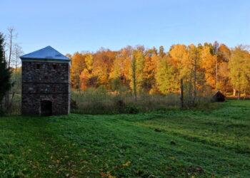 Stelmužės dvaro bokštas rudenį.