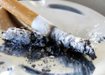 Tarptautinėje GFN24 konferencijoje svarstyta, jog tabako ir nikotino gaminių akcizo suma galėtų priklausyti nuo jų keliamos žalos lygio: cigaretėms turėtų būti taikomas didžiausias akcizas iš visų tabako ir nikotino gaminių.