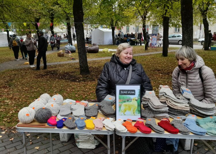 Megztos šuns vilnos kojinės – itin reikalingas pirkinys artėjant šaltoms dienoms.