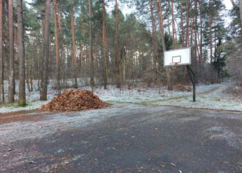 Pasak komunalininkų, į krepšinio aikštelę rudeniniai lapai buvo kraunami tik laikinai, kad juos būtų patogiau išsivežti.