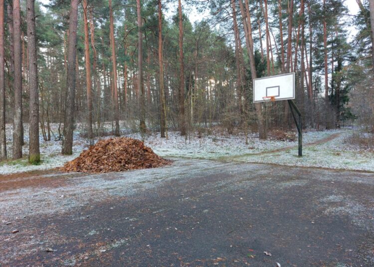 Pasak komunalininkų, į krepšinio aikštelę rudeniniai lapai buvo kraunami tik laikinai, kad juos būtų patogiau išsivežti.