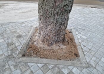 Nuo kamieno iki plytelių paliktas sprindis erdvės.