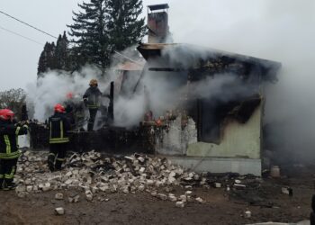 Panevėžio Priešgaisrinės apsaugos ir gelbėjimo departamento nuotr.